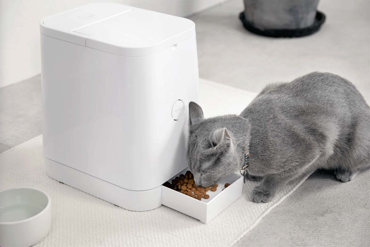 Dispenser cibo per gatti: quali sono i migliori in circolazione?